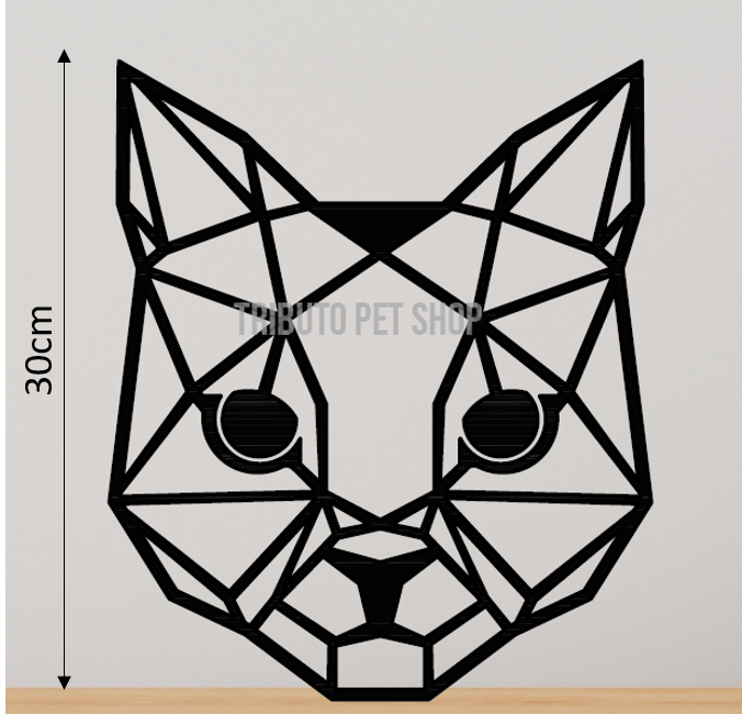 Gato - Cara