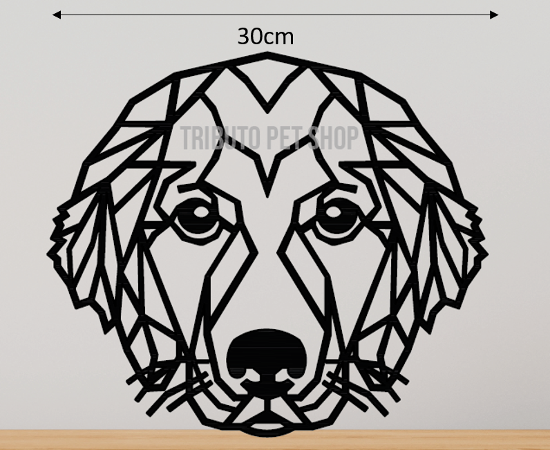 Golden Retriever 1