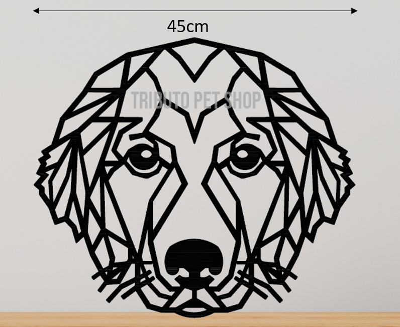 Golden Retriever 1