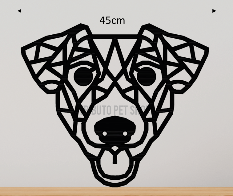 Jack Russell 1