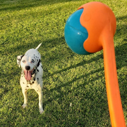 Lanzador de pelotas