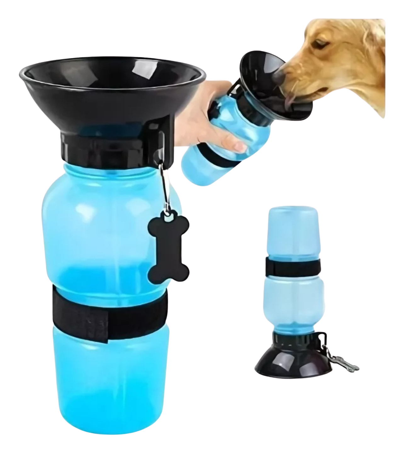 Aqua Dog