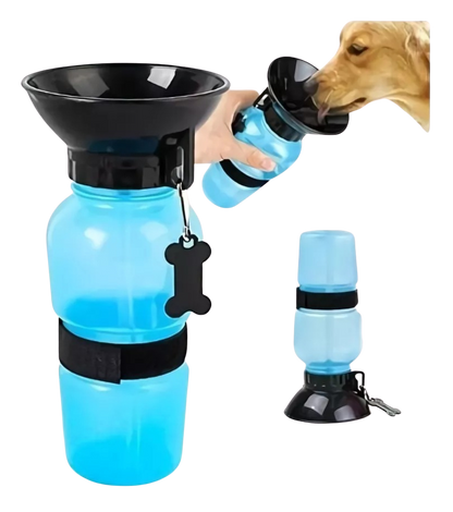 Aqua Dog