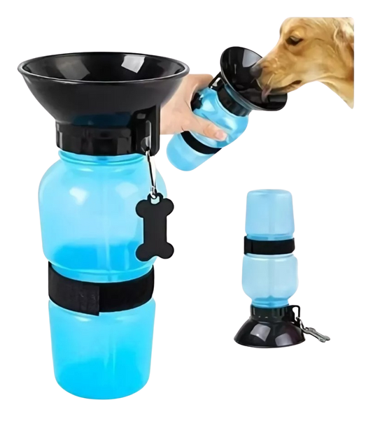 Aqua Dog