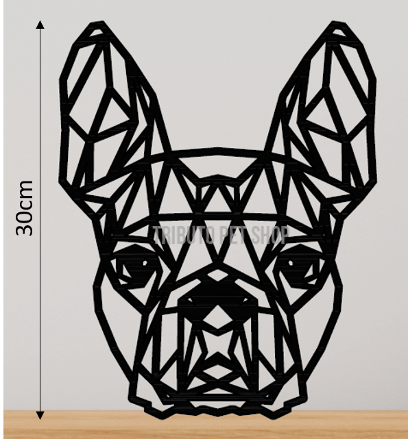 Boston Terrier