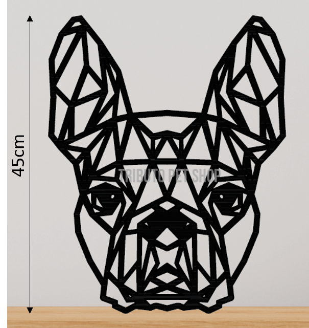 Boston Terrier