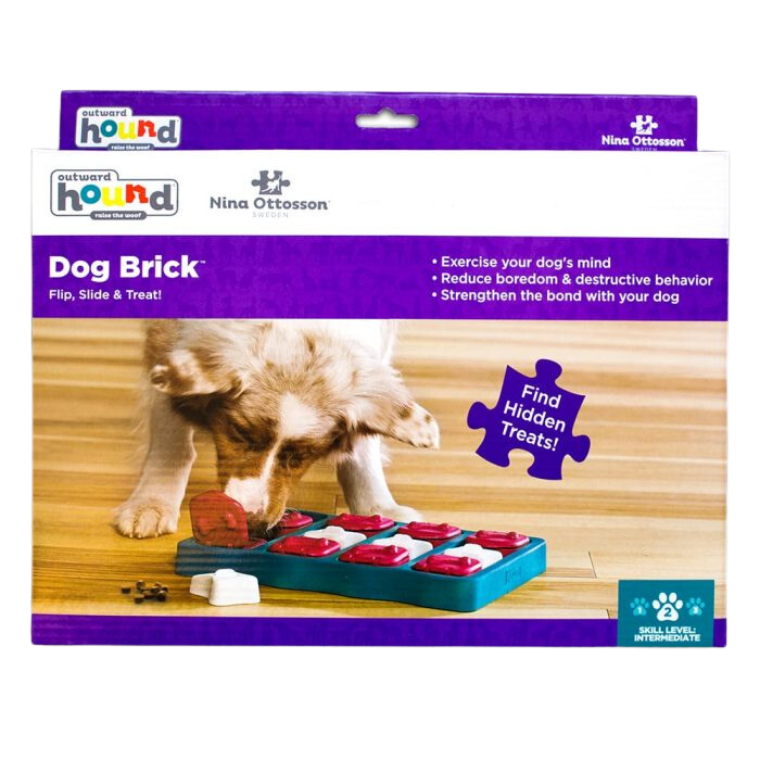 Juguete Interactivo Nivel 2- Dog Brick