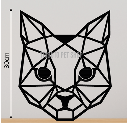 Gato - Cara