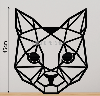 Gato - Cara
